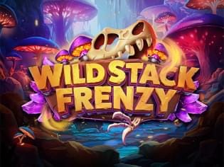 Wild Stack Frenzy game cover